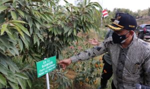 IMG-20210902-WA0167_copy_639x426