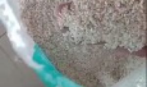 IMG-20211113-WA0037_copy_288x640_copy_115x256